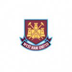 West Brom trio back in training as George McCartney adds to West Ham woes West Brom trio back in training as George McCartney adds to West Ham woes
