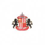 Sunderland: Paolo Di Canio criticises 'pathetic' behaviour