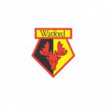 Long lay-off for Watford's McGinn Long lay-off for Watford's McGinn