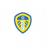 Howson gets England nod