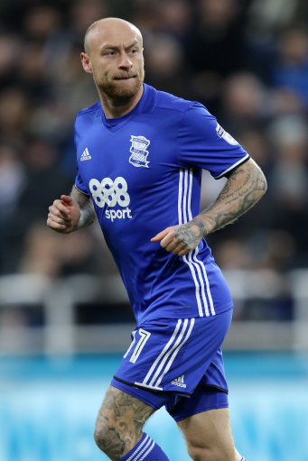 David Cotterill David Cotterill