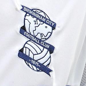 Birmingham to escape FA probe over crowd trouble