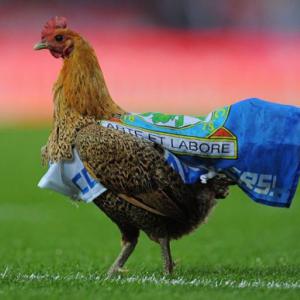 Blackburn not for sale say Venky's
