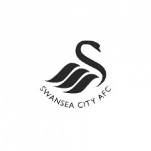 Striker Danny Graham committed to Swansea future